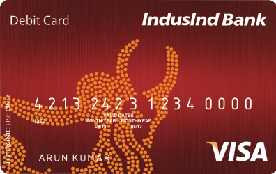 VISA Classic Debit Card